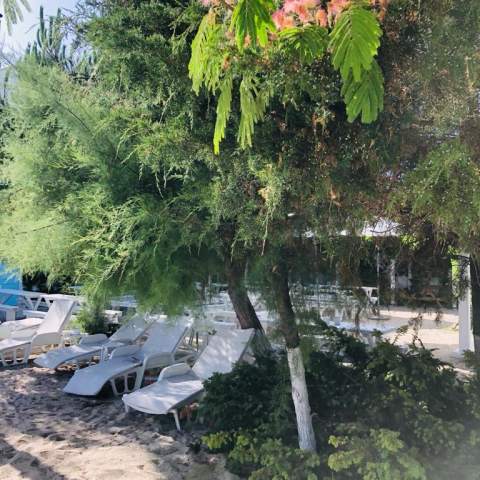 Casa Stavros- Poza 008