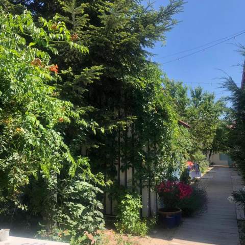 Casa Stavros- Poza 009