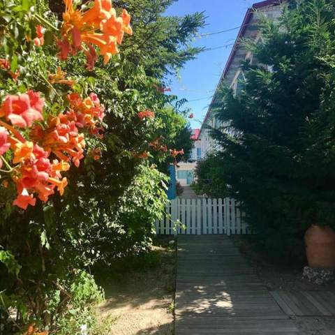 Casa Stavros- Poza 012