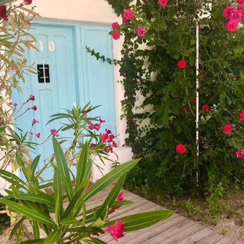 Casa Stavros- Poza 013