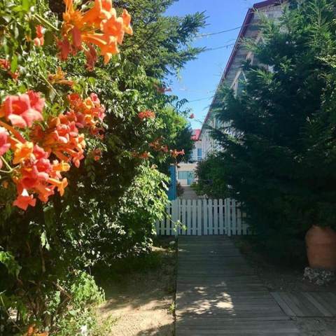 Casa Stavros 250115 - Poza 004