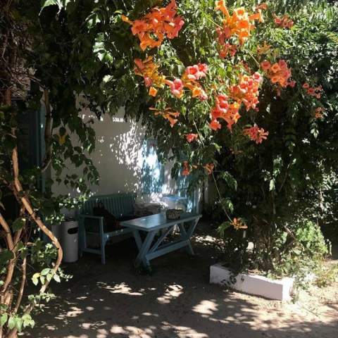 Casa Stavros 250115 - Poza 006